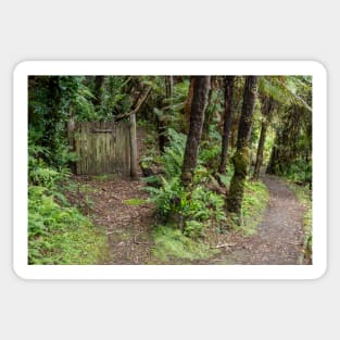 Forest paths. Sticker